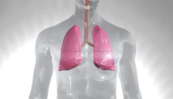Scientists discover new bacterial defence mechanism in the lungs.