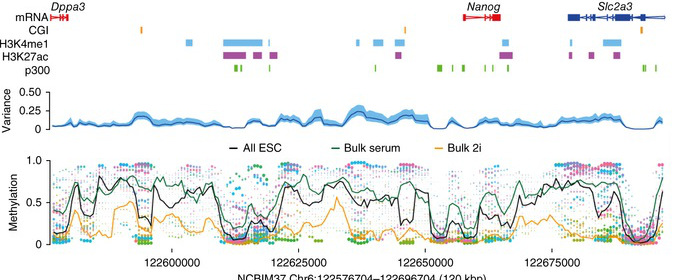 BS-seq reveals DNA methylation heterogeneity in ESCs.  Estimated DNA methylation rates using a sliding window in an example region containing the Nanog locus with some annotated features. Each single ESC is represented by a different color (bottom), and dot size is the inverse of estimation error. Mean methylation rate estimates across cells (black line, bottom) and cell-to-cell variance (blue line, middle; 95% confidence interval in light blue) are shown. Methylation rates for 'bulk serum' (green line) and 'bulk 2i' (orange line) are superimposed (bottom).  Kelsey et al 2014.