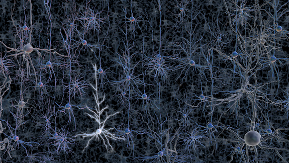 An activated neuron
